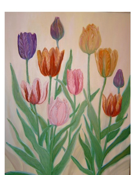 Flowers of Spring - Tulips