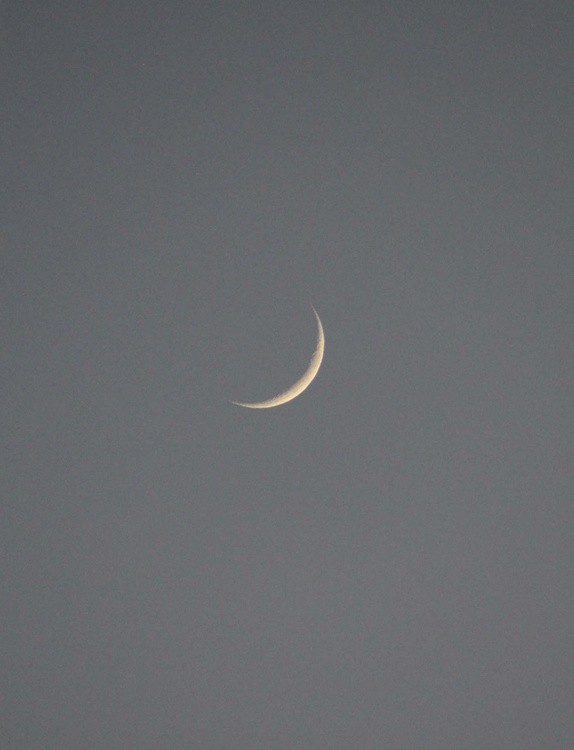 Moon