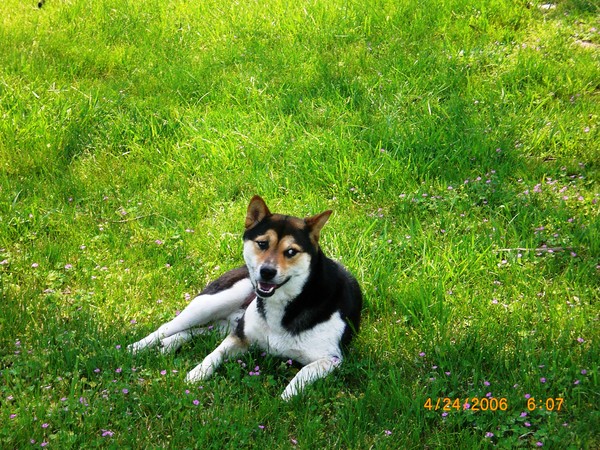 Sammy takes a rest.