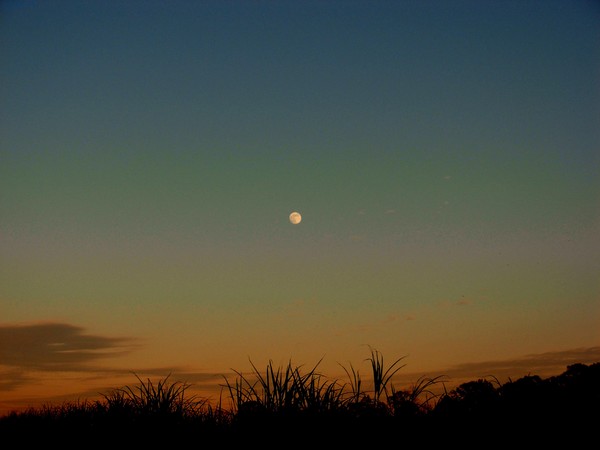 Moon-Set