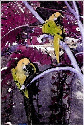 TWO IN A BUSH