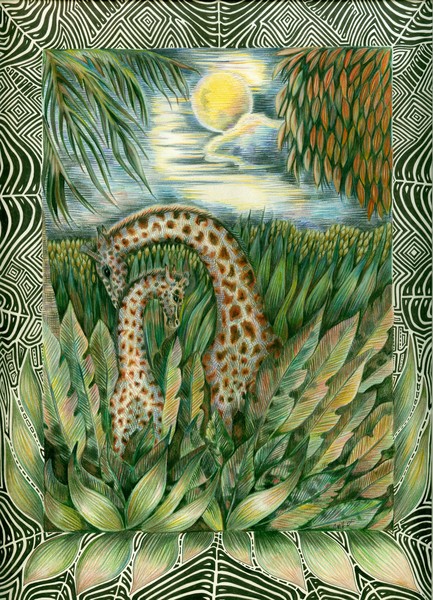night Giraffes