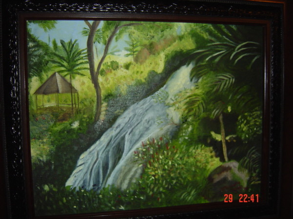 Dunns River Falls 1999