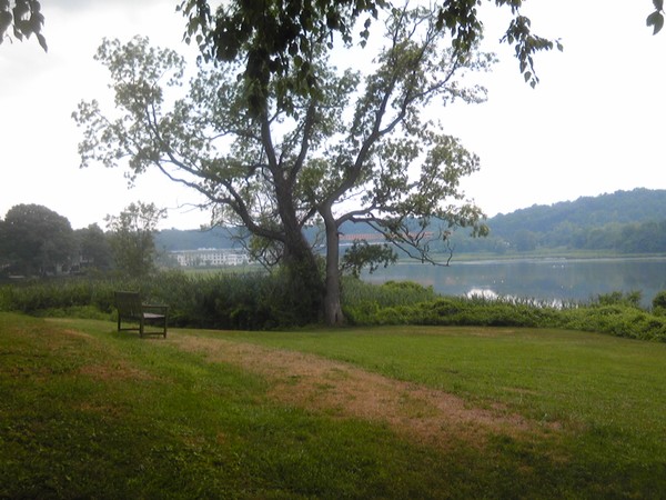 the bench