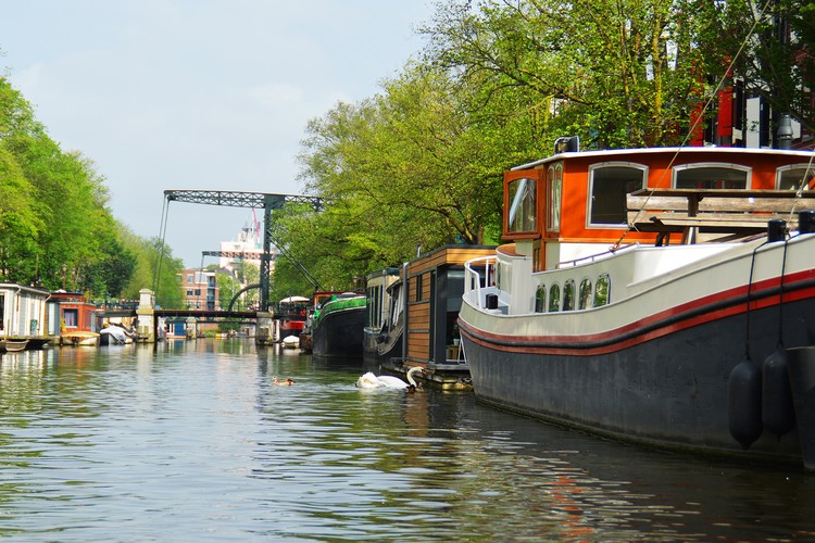 Canal in Amsterdam 