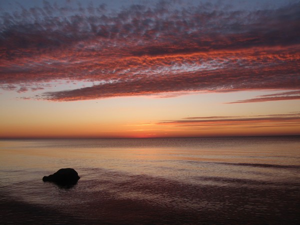 Awaiting the Dawn