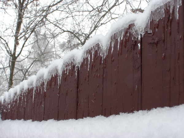 Snowbound