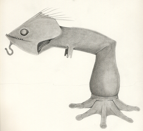 Animalia