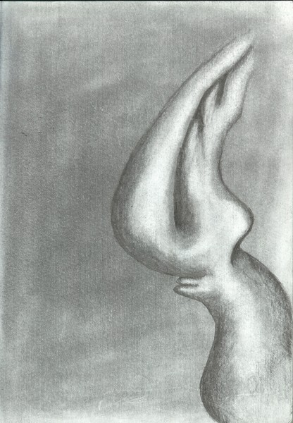 natures abstraction