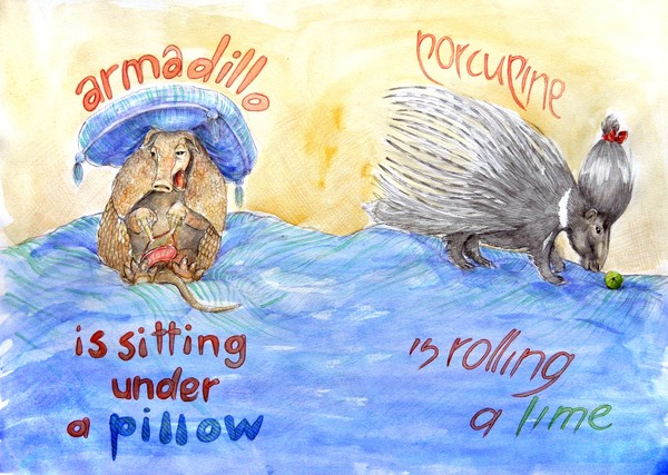 Armadilo & Porcupine