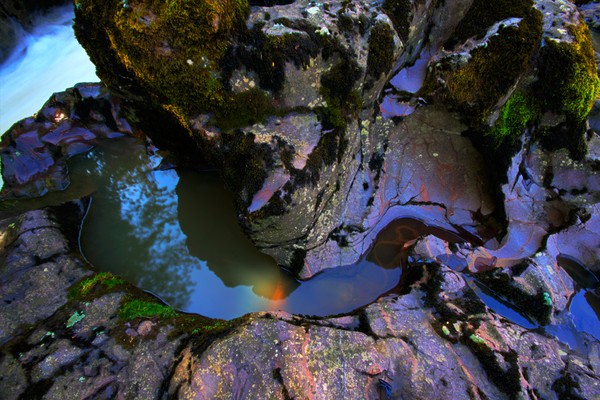 Rock Pool