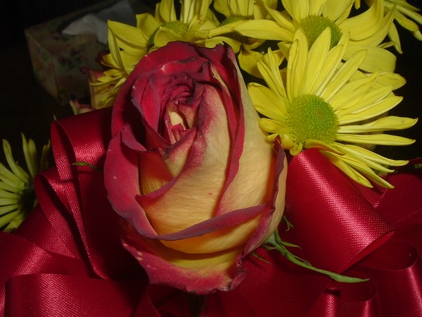 Flowers for my birthday, anther look