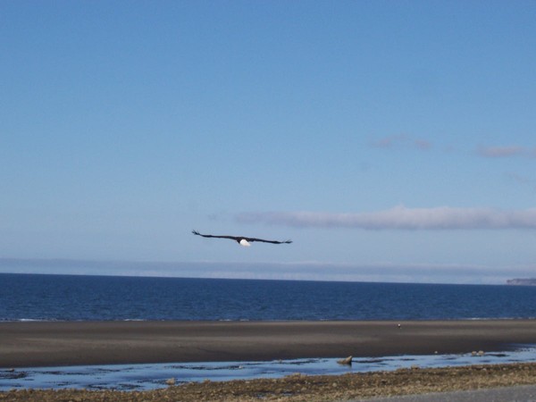 Departure