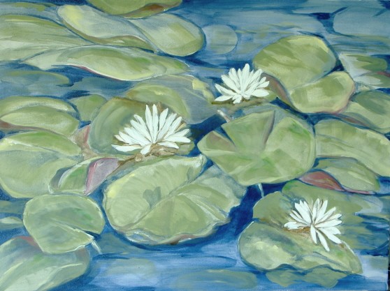 carolina lillies