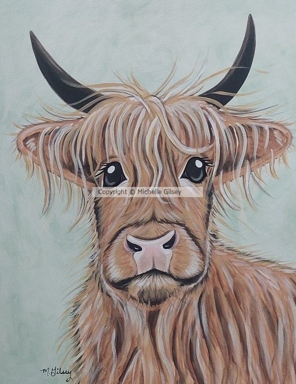 Highland Cow Looking All Cute
