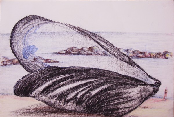 The shell
