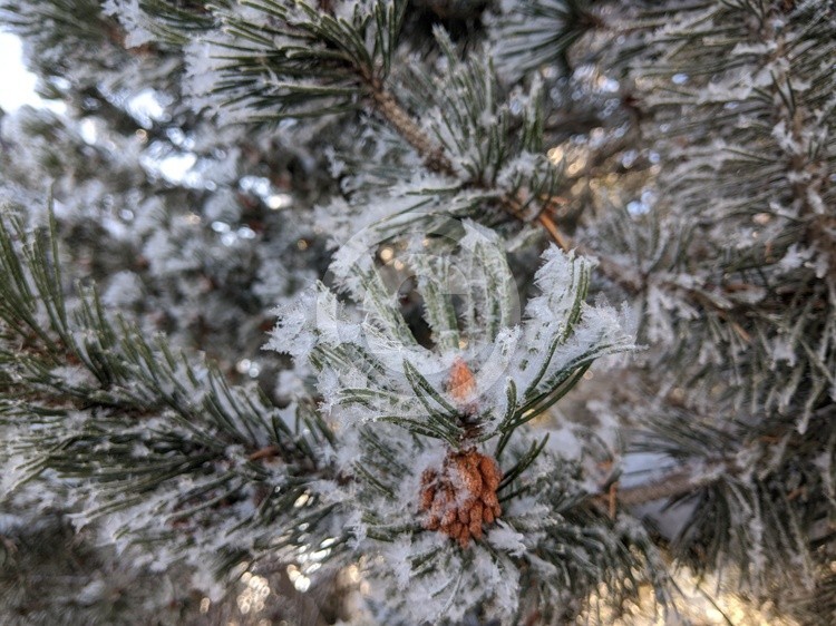 Givre
