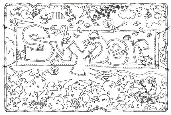 splash page