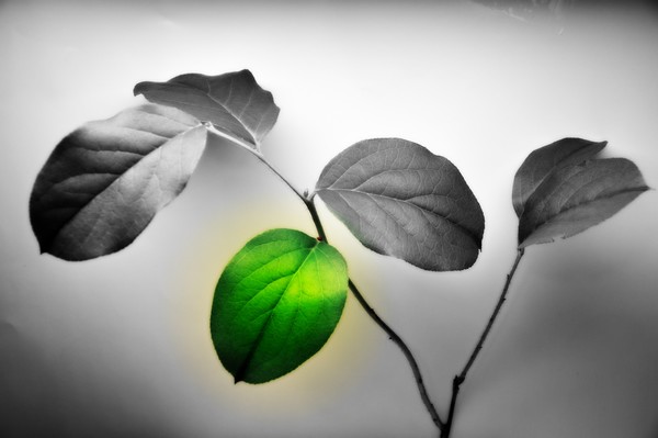 green