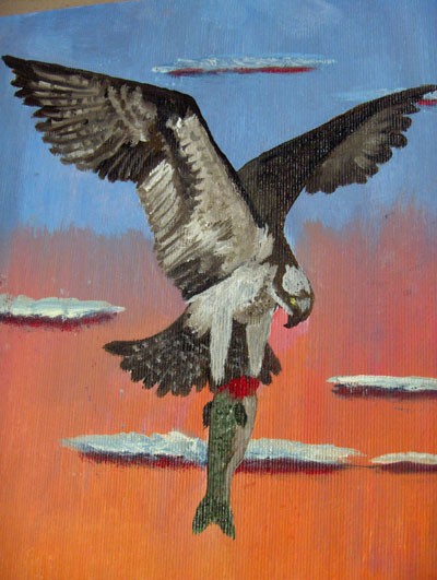 Osprey Inset