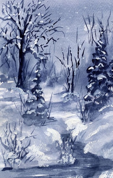 Winter Shades