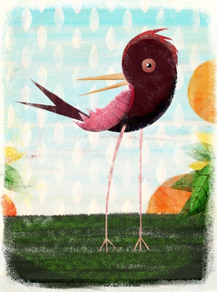 little bird