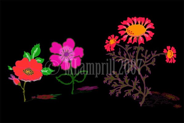 Gossipping florals