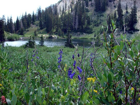 Catherine Lake