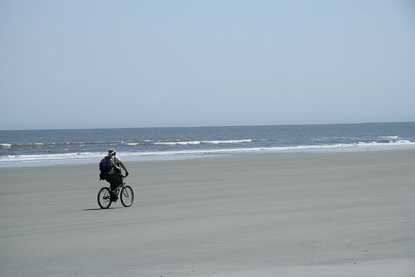 Cumberland Island Georgia