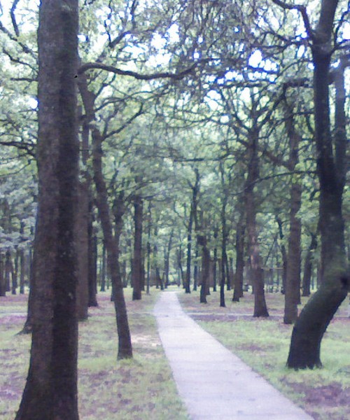 Oklahoma Path