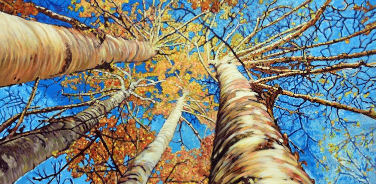 Aspens in Colorado
