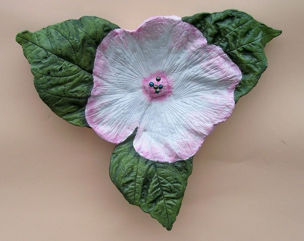 Hibiscus 1