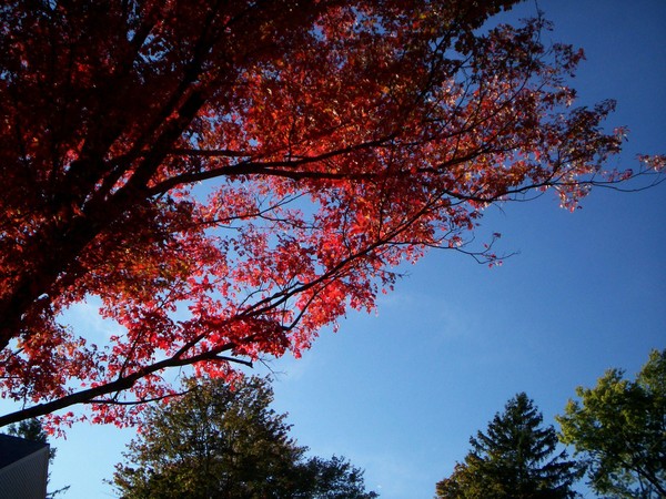 October Fire