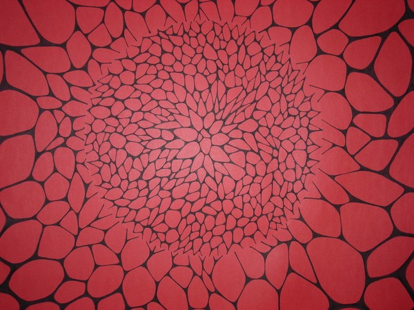 emergence from simple to complex