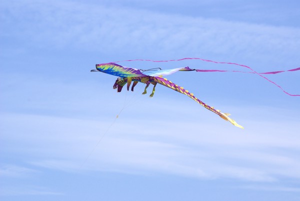 Dragon Kite