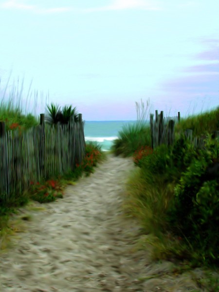 Walk to the Beach