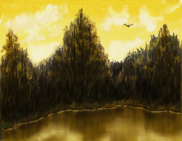 Woods