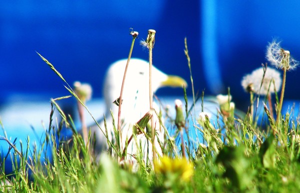 Summer Helsinki...