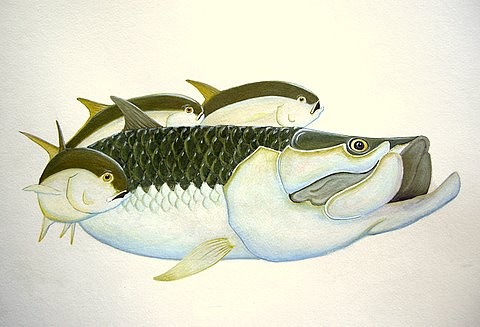 Tarpon and Jacks