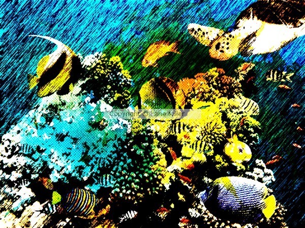 under the sea 2