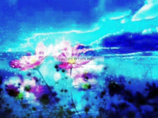 nature 2
