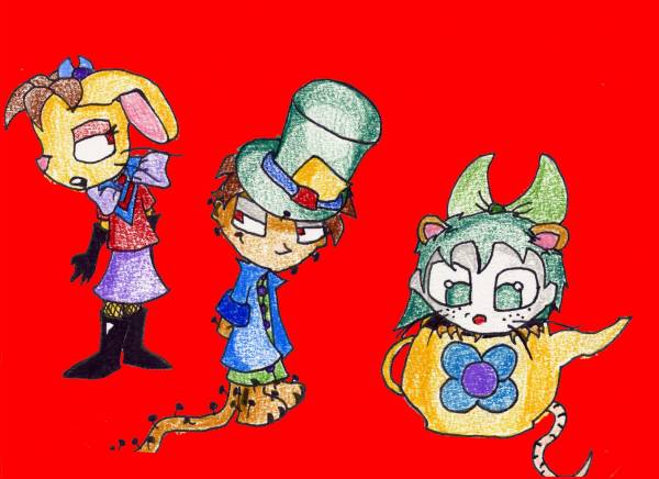 Wonderland
