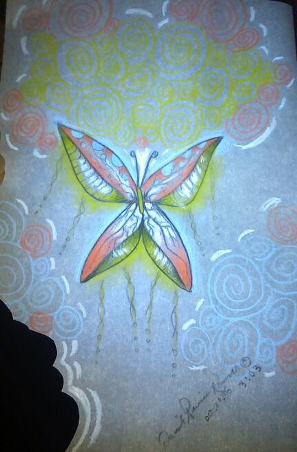 butterfly 