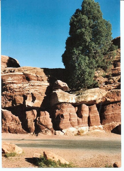 Another Garden of the Gods Rock formation