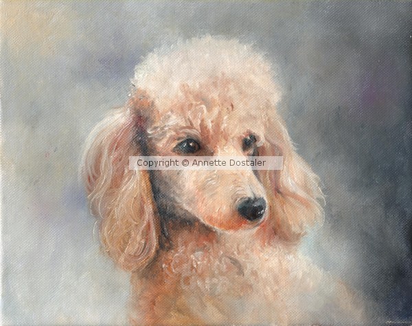 ACEO Poodle Print