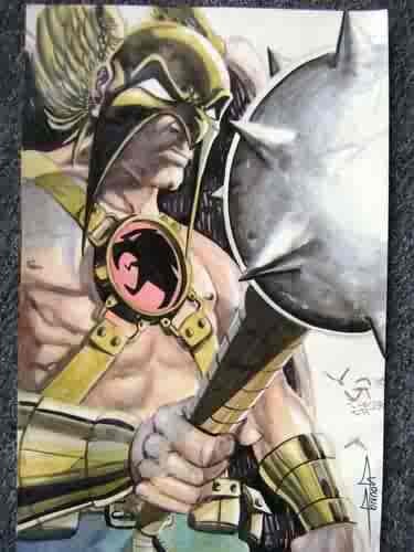 hawk