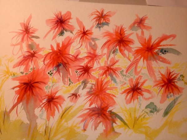 winter flowers