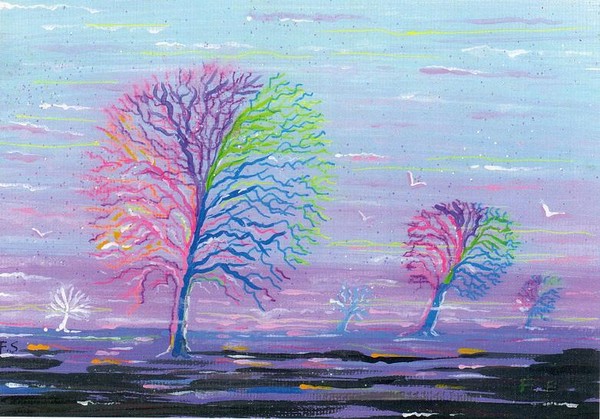 Rainbow  Tree