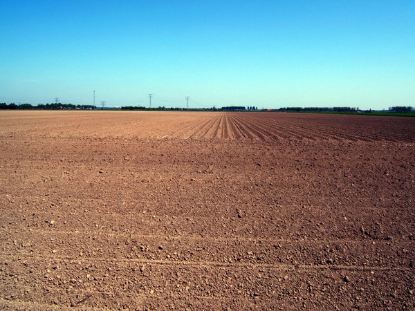 Farmland
