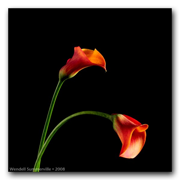 Solitaire #66